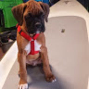 Meet your Posher, Heather